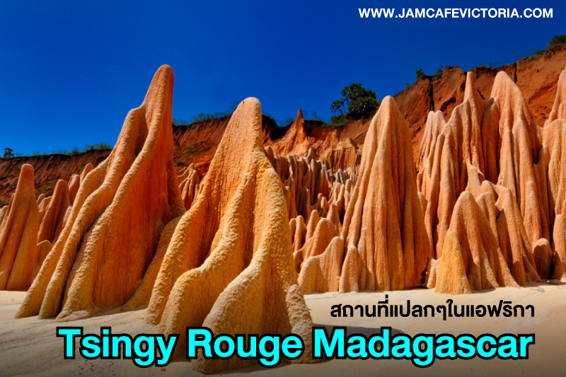 มาดากัสการ์ ที่เที่ยวสุดแปลก ของทวีปแอฟริกา ที่จะพาคุณร้องว้าว กับสิ่งมหัศจรรย์ Madagascar