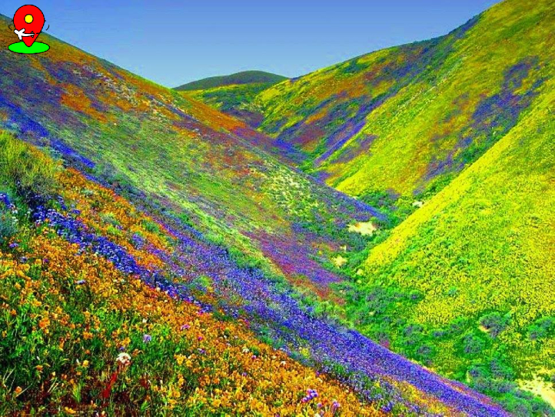 Valley of Flowers เป็นความงาดงามของ ดอกไม้นานาชนิด ที่ไม่แพ้ประเทศ ในแถบทวีปยุโรปเลย