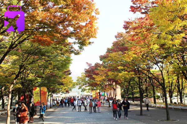 ที่เที่ยวเกาหลี ตุลาคม