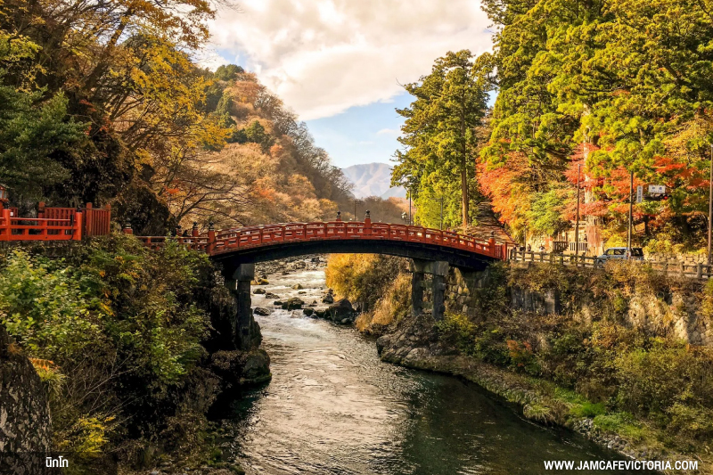 ญี่ปุ่น ที่เที่ยวธรรมชาติ